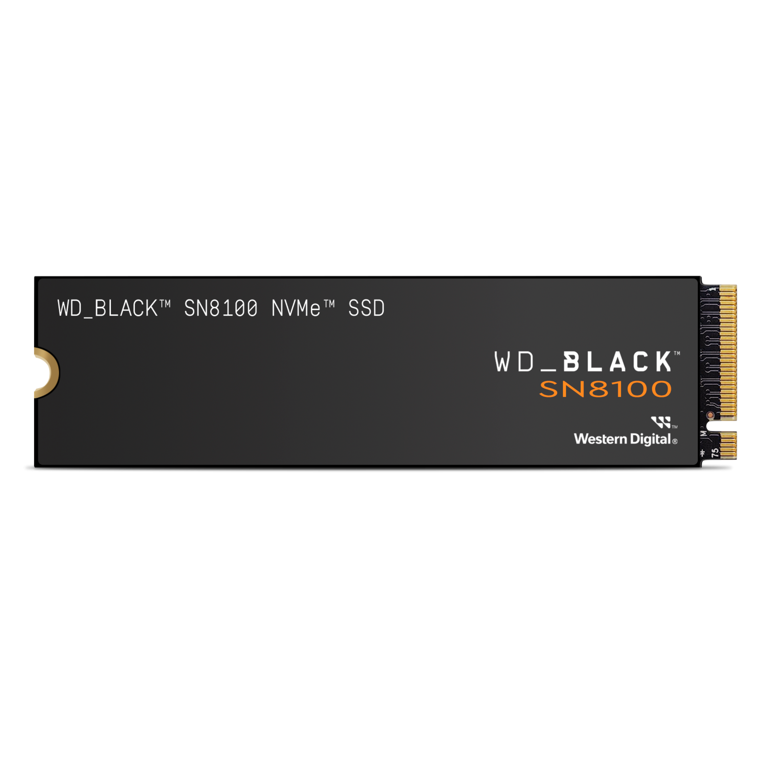 WD_BLACK™ SN8100 NVMe™ Internal SSD (1TB/ 2TB/ 4TB)-Data Storage-futuromic